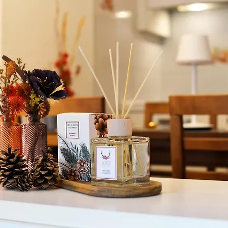 Maison Clocher 아파트 *