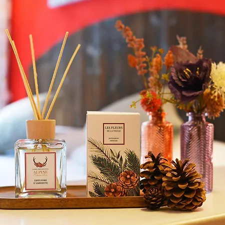 Maison Clocher 아파트 *